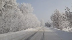 До 1 градуса потеплеет в Белгородской области в воскресенье 