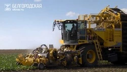 Вячеслав Гладков поделился промежуточными итогами уборочной кампании в Белгородской области