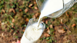 Валовой надой молока в Белгородском районе составил 94 239 кг