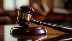 Прокуратура Белгородского района выявила нарушения при обращении с животными в приюте «Добрый дом»