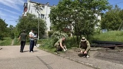 Татьяна Круглякова рассказала об особом субботнике в Ясных Зорях 