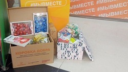 Белгородцы собрали девять тыс. подарков для военнослужащих в рамках проекта #МыВместе
