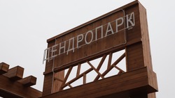 Три инициативы по благоустройству были реализованы в 2024 году в Белгородском районе