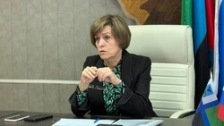 Анна Куташова провела районный градостроительный совет