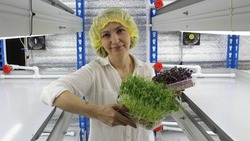 Оксана Некрасова из Белгородского района: «Микрозелень – это вкусно и полезно»