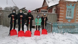 Волонтёры Белгородского района поучаствовали в акции «Чистим снег вместе»