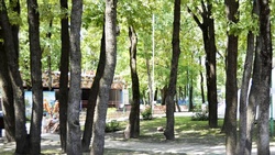 Члены белгородской общественной палаты приняли проект реконструкции парка Ленина