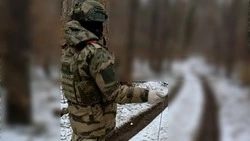 Инженеры Росгвардии обезвредили кассетную мину ВСУ в приграничье Белгородской области