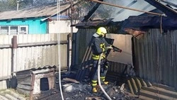 Белгородские огнеборцы ликвидировали шесть пожаров на территории региона за прошедшие сутки