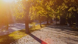 Тёплая погода продолжит радовать жителей Белгородской области 20 сентября