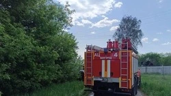 Главное управления МЧС России по Белгородской области сообщило о зафиксированных пожарах за сутки