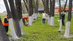Коллективная уборка продолжилась на территории Белгородского района