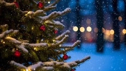 Полицейские рассказали, как белгородцам избежать интернет-обмана в декабре