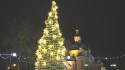 Новогодние ёлки Белгородского района зажглись разноцветными огнями