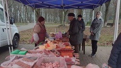Традиционные ярмарки прошли в Белгородском районе