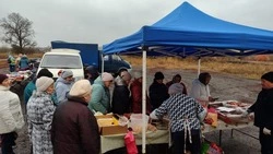 Традиционные ярмарки прошли в Белгородском районе
