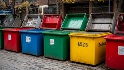 Белгородцам рассказали о новых правилах обращения с ТКО, вступившими в силу с 1 сентября