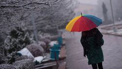 Снегопад и порывистый ветер задержатся в Белгородской области и 12 февраля