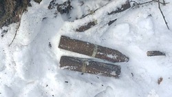 Взрывотехники обезвредили несколько взрывоопасных предметов в Бирюче