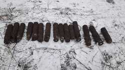 Лесники во время уборки нашли 40 снарядов в Шебекинском городском округе
