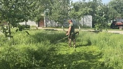 Работа по благоустройству улиц Белгородского округа продолжается 