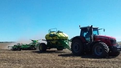 Сев озимых культур завершился на территории Белгородской области