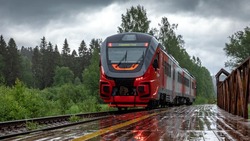Рельсовые автобусы свяжут Белгород и Воронеж в мае