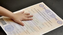 Белгородцы оформили свыше 5,5 тыс. сертификатов на маткапитал в 2024 году
