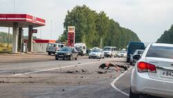 BMW и Toyota столкнулись на трассе «Крым» в Белгородском районе