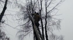 Белгородские спасатели снова пришли на помощь братьям нашим меньшим