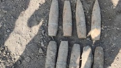 Белгородские взрывотехники ликвидировали несколько боеприпасов времён Великой Отечественной войны
