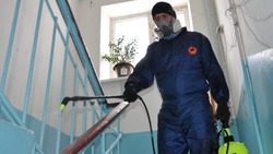 Дезинфекция многоквартирных домов продолжилась в Белгородском районе 