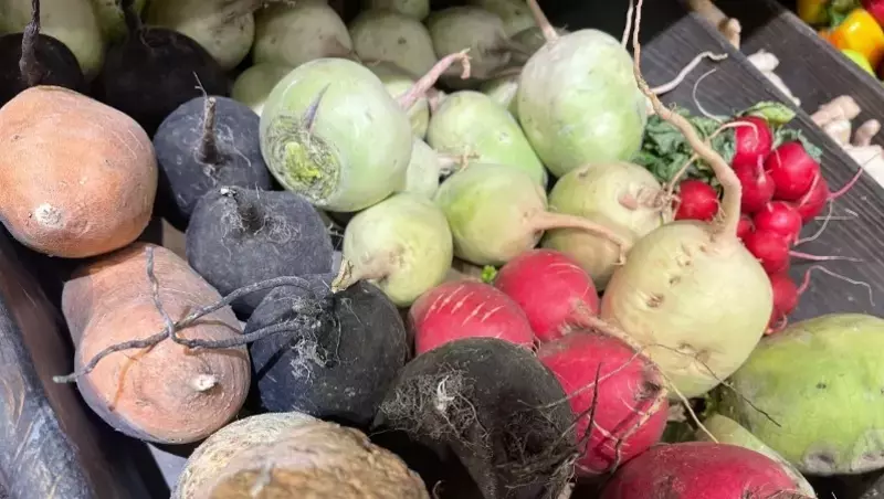 Белгородская область увеличила поставки продуктов растениеводства в другие страны 