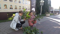 Экологическая акция прошла в Бессоновке Белгородского района