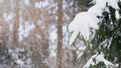 Белгородские синоптики прогнозируют снег с дождём и гололёд на территории региона 21 февраля
