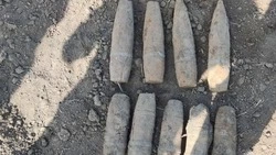 Белгородские взрывотехники ликвидировали несколько боеприпасов времён Великой Отечественной войны
