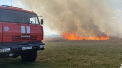 Белгородские огнеборцы ликвидировали 49 пожаров на территории региона за прошедшую неделю
