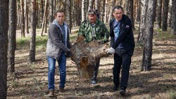 Руководитель субъекта Вячеслав Гладков организовал областной экологический субботник