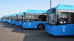Администрация Белгородского района предупредила жителей об изменениях в движении автобусов