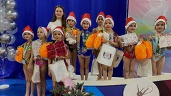 Открытый турнир по художественной гимнастике «Кубок Деда Мороза» прошёл в Белгороде