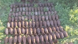 Белгородские взрывотехники ликвидировали 143 боеприпаса времён ВОВ в регионе за минувшие сутки