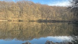 Синоптики спрогнозировали облачную погоду в Белгородской области