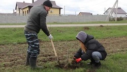 Большая уборка продолжается в поселениях Белгородского района