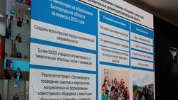 Вячеслав Гладков распорядился провести встречи с белгородскими зоозащитниками до конца года 