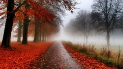 Дожди придут в Белгородскую область