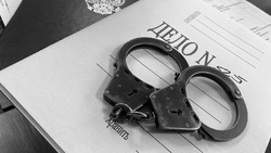 Белгородские сотрудники УФСБ пресекли преступную деятельность контрабандистов