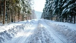 Татьяна Круглякова: 28 единиц техники и 104 человека участвуют в уборке снега в Белгородском районе
