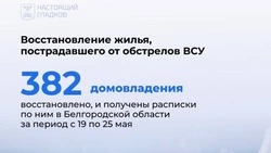 Вячеслав Гладков проинформировал о восстановлении повреждённых в результате атак ВСУ домов