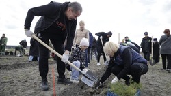 Вячеслав Гладков поучаствовал в акции «Сад памяти»