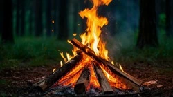 Белгородские власти ввели особый противопожарный режим в Белгородской области